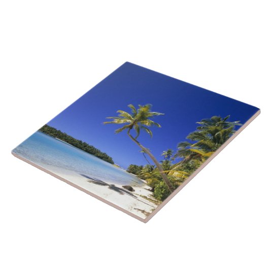 Palmengesäumter Strand Cook Inseln Fliese (Seite)