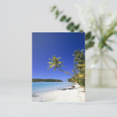 Palmengesäumter Strand Cook Inseln Postkarte (Stehend Vorderseite)