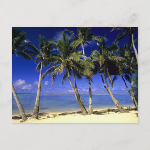 Palmengesäumter Strand Cook Islands 4 Postkarte