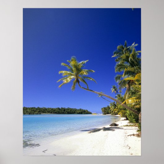 Palmengesäumter Strand Cook Islands Poster (Vorne)
