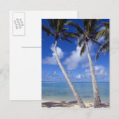 Palmengesäumter Strand Cook Islands Postkarte (Vorne/Hinten)
