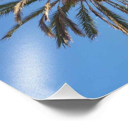 Palmenkrone Fotodruck (Ecke)