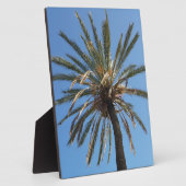Palmenkrone Fotoplatte (Seite)