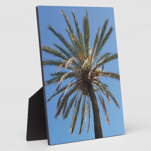 Palmenkrone Fotoplatte (Seite)