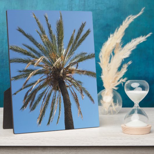 Palmenkrone Fotoplatte (Seite)