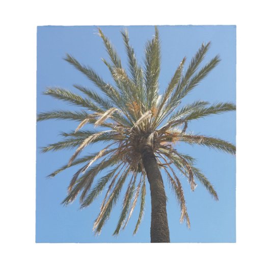 Palmenkrone Notizblock (Vorderseite)