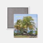 Palmenmagnet in Barbados Magnet (Vorderseite/Rückseite)