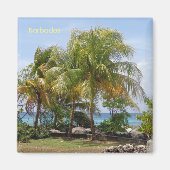 Palmenmagnet in Barbados Magnet (Vorne)