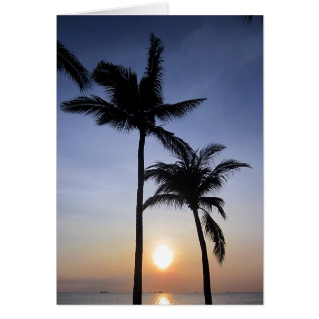 Palmenmanila (Vorne)