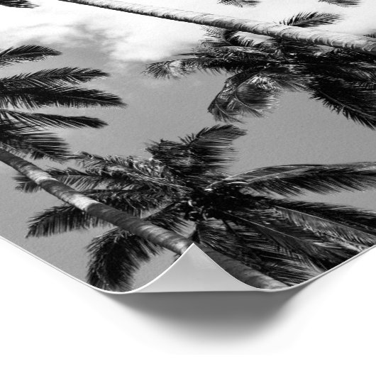 Palmenplakat Poster (Ecke)