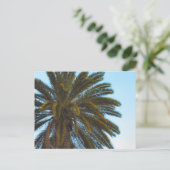 Palmenpostkarte Postkarte (Stehend Vorderseite)