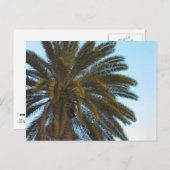 Palmenpostkarte Postkarte (Vorne/Hinten)