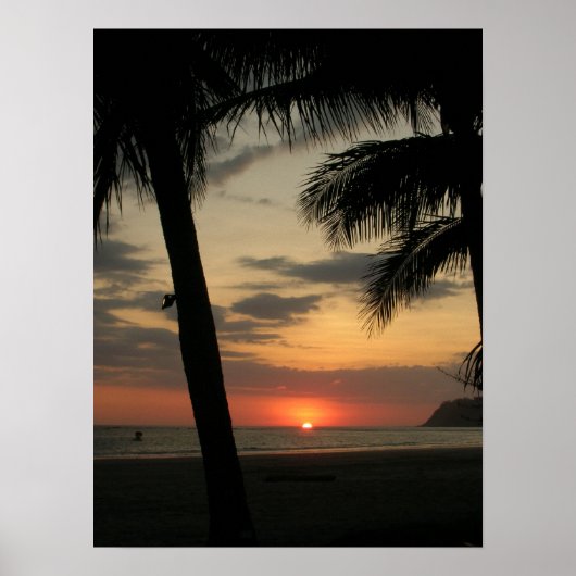 Palmenstrand Poster (Vorne)