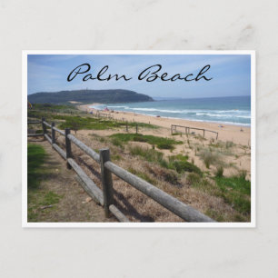Palmenstrand Postkarte