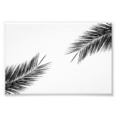 Palmenzweig Fotodruck (Vorne)