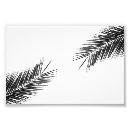 Palmenzweig Fotodruck (Vorne)