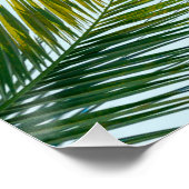 Palmenzweig Poster (Ecke)