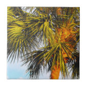 Palmenzweige, Nachmittagssonne Fliese (Vorderseite)