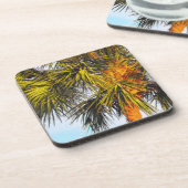 Palmenzweige, Nachmittagssonne Getränkeuntersetzer (Linke Seite)