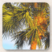 Palmenzweige, Nachmittagssonne Getränkeuntersetzer (Vorderseite)