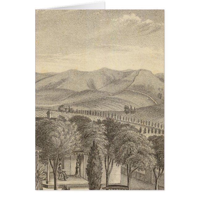 Palmer res, Weinberg (Vorne)