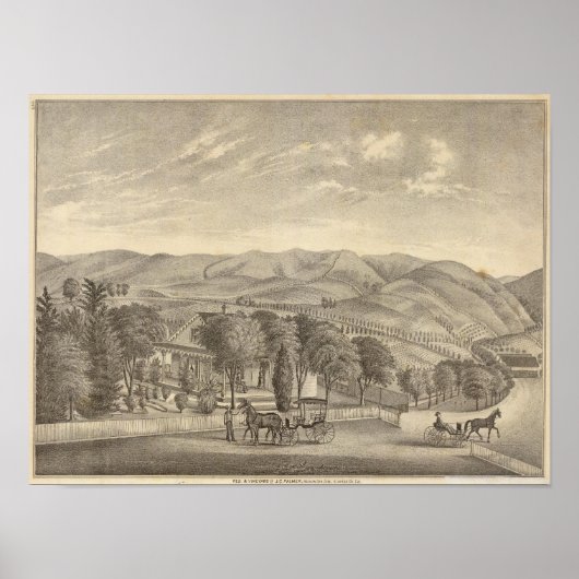 Palmer res, Weinberg Poster (Vorne)