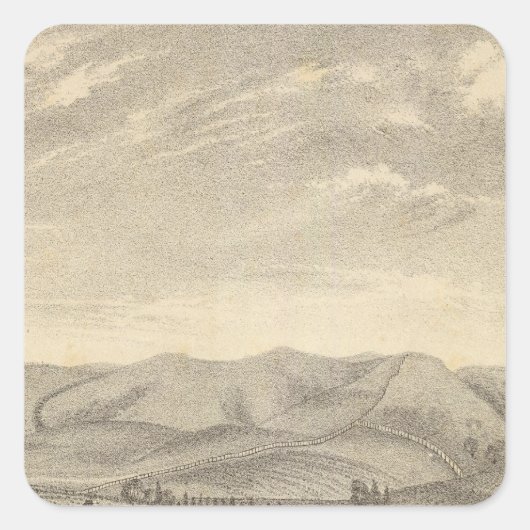 Palmer res, Weinberg Quadratischer Aufkleber (Vorderseite)