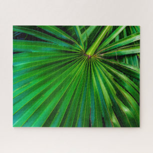 Palmetto Fan Puzzle sehen