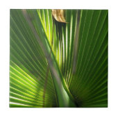 Palmetto-Foto schließen Fliese (Vorderseite)