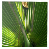 Palmetto-Foto schließen Fliese (Vorderseite)