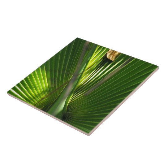 Palmetto-Foto schließen Fliese (Seite)