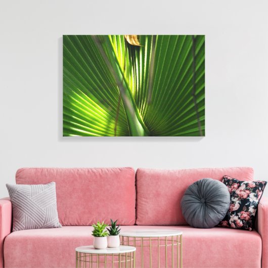 Palmetto-Foto schließen Leinwanddruck (Insitu (Wohnzimmer))