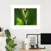Palmetto-Foto schließen Poster (Heimbüro)