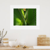 Palmetto-Foto schließen Poster (Küche)