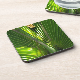 Palmetto-Foto schließen Untersetzer