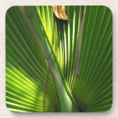 Palmetto-Foto schließen Untersetzer (Vorderseite)