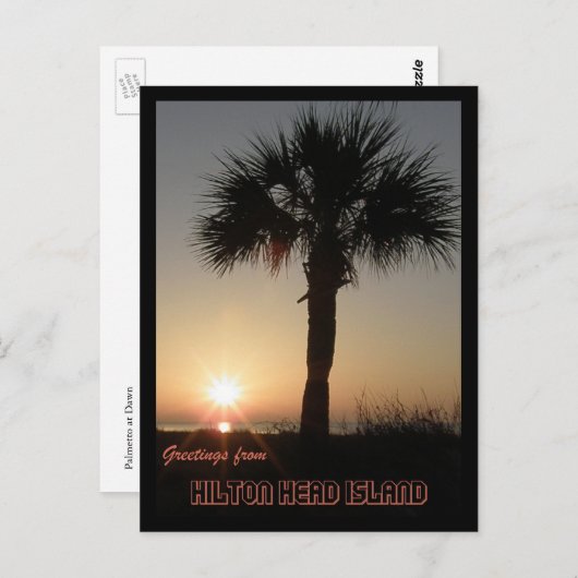 Palmetto in Dawn Postkarte (Vorne/Hinten)