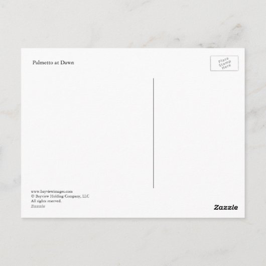 Palmetto in Dawn Postkarte (Rückseite)