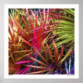 Palmetto Riot Poster (Vorne)