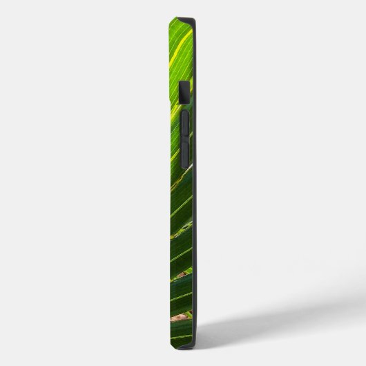 Palmetto Shadows auf Palmetto iPhone Case (Rückseite / Links)