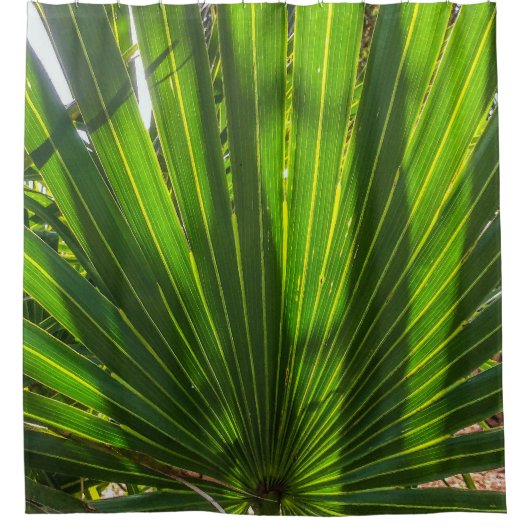 Palmetto Shadows on Palmetto Duschvorhang (Vorderseite)