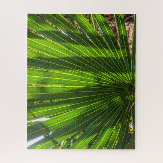Palmetto Shadows on Palmetto Puzzle (Vertikal)