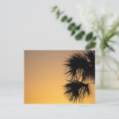 Palmetto Tree at Sunrise, Florida Postkarte (Stehend Vorderseite)