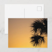 Palmetto Tree at Sunrise, Florida Postkarte (Vorne/Hinten)