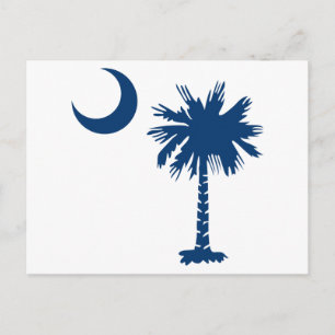 Palmetto Tree Postkarte