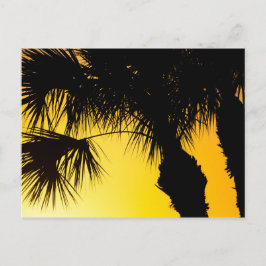 Palmetto Tree Sunrise, Port St. Lucie, FL Postkarte