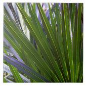 Palmetto Tropicale Fliese (Vorderseite)