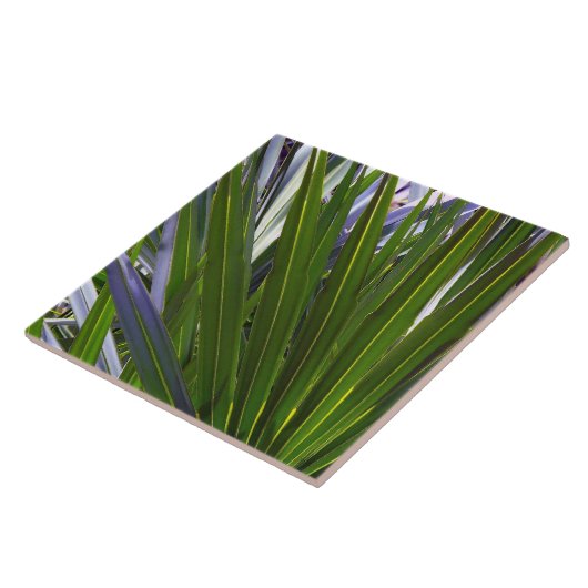 Palmetto Tropicale Fliese (Seite)