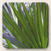 Palmetto Tropicale Getränkeuntersetzer (Vorderseite)