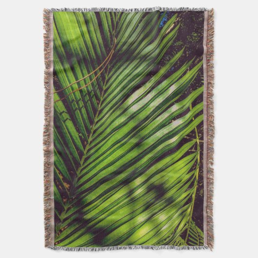 Palmfront, Kiefernnägel und Schatten wirbellose Ke Decke (Vorderseite Vertikal)
